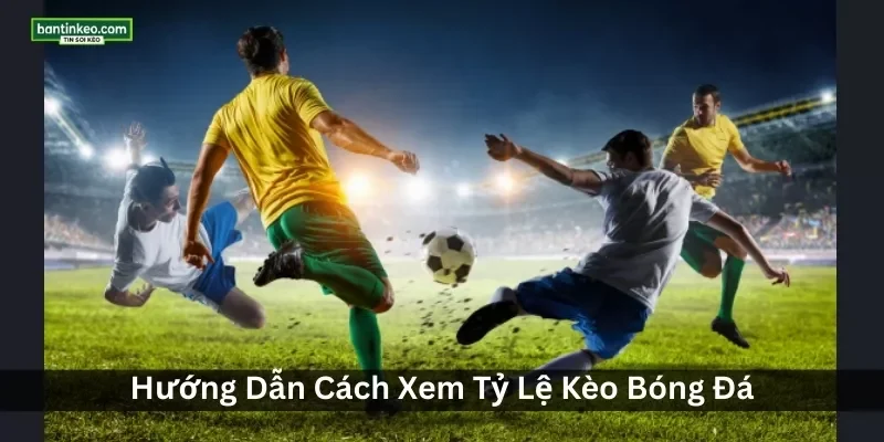 Cách Xem Tỷ Lệ Kèo Qua Biến Động Odds