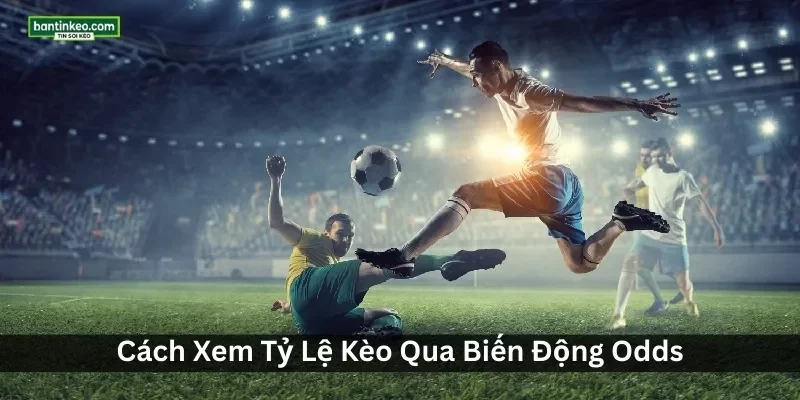 Theo Dõi Cách Xem Tỷ Lệ Kèo Và Bảng Kèo Mới Nhất Tại Bantinkeo.com