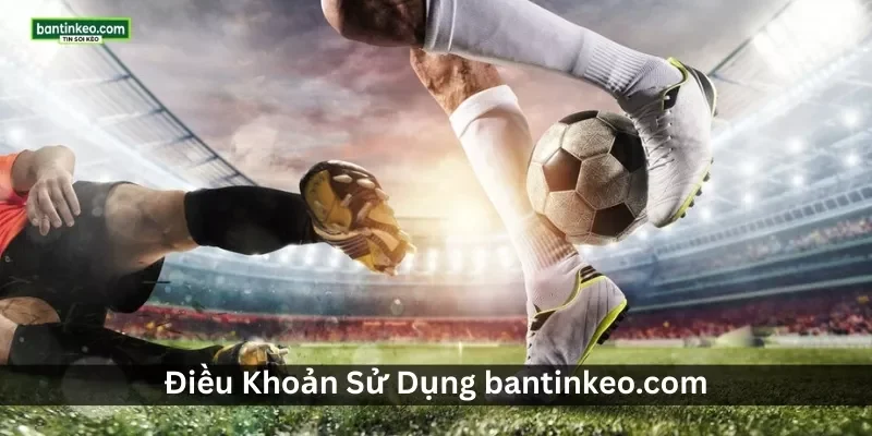 Điều Khoản Sử Dụng