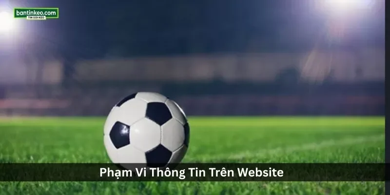 Phạm Vi Thông Tin Trên Website