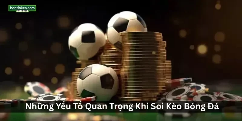 Những Yếu Tố Quan Trọng Khi Soi Kèo Bóng Đá
