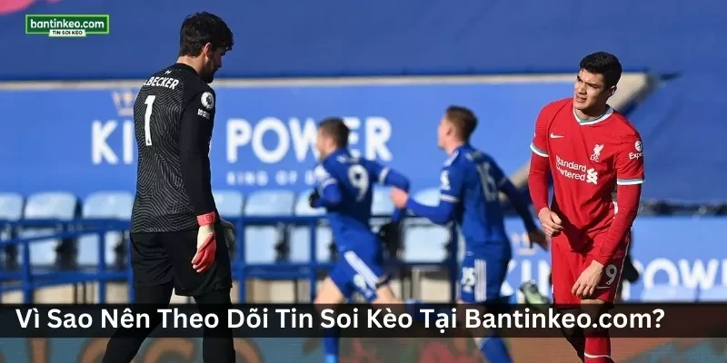 Theo Dõi Tin Soi Kèo Tại Bantinkeo.com
