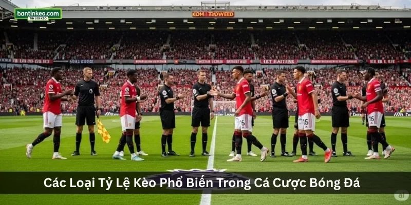 Các Loại Tỷ Lệ Kèo Phổ Biến Trong Cá Cược Bóng Đá 