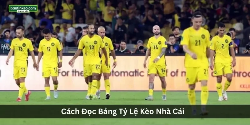 Theo Dõi Tỷ Lệ Kèo Hôm Nay Chính Xác Tại Bantinkeo.com 